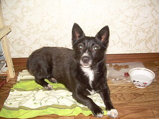 click for enlarge 1920 X 1440 574.4 Kb picture