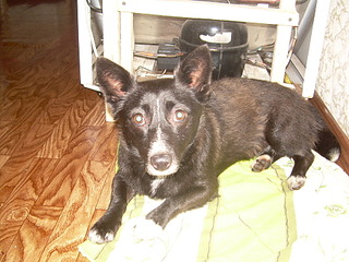 click for enlarge 1920 X 1440 662.6 Kb picture