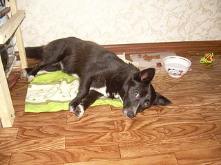 click for enlarge 1920 X 1440 682.3 Kb picture