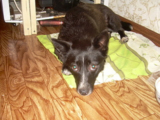 click for enlarge 1920 X 1440 747.9 Kb picture