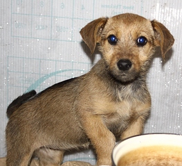 click for enlarge 1920 X 1748 240.9 Kb picture