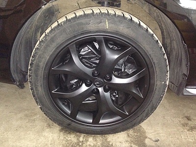 click for enlarge 1024 X 768 291.4 Kb picture