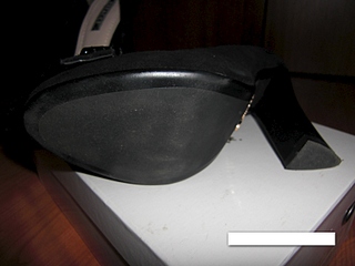 click for enlarge 800 X 600 145.6 Kb picture