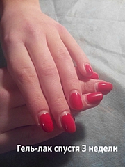 click for enlarge 768 X 1024 287.1 Kb picture