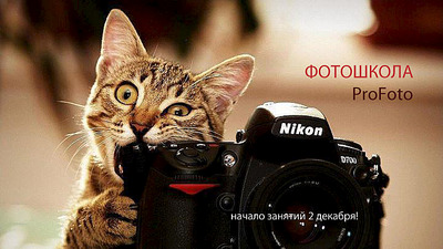 click for enlarge 720 X 405 158.7 Kb picture