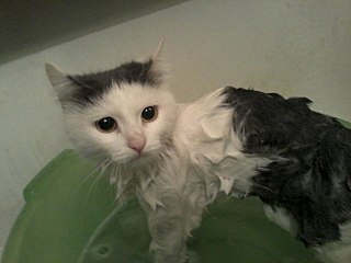 click for enlarge 1280 X 960 128.6 Kb picture