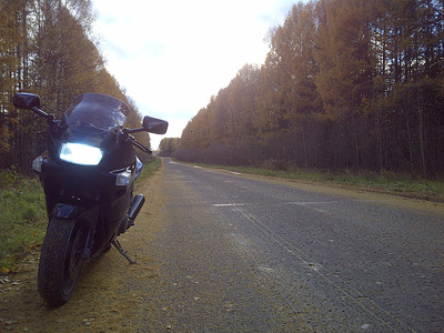 click for enlarge 1500 X 1125 652.5 Kb picture