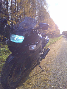 click for enlarge 1125 X 1500 731.3 Kb picture