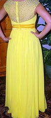 click for enlarge 334 X 768 71.2 Kb picture