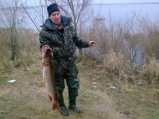 click for enlarge 1600 X 1200 551.1 Kb picture