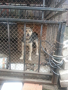 click for enlarge 1920 X 2560 581.8 Kb picture