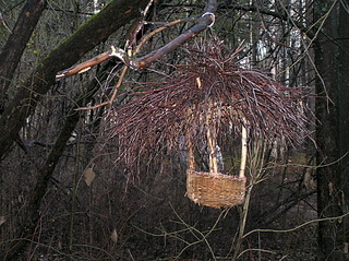 click for enlarge 1920 X 1436 446.2 Kb picture