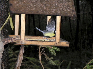 click for enlarge 1920 X 1436 758.3 Kb picture