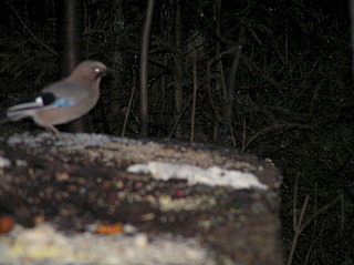 click for enlarge 1920 X 1436 750.3 Kb picture