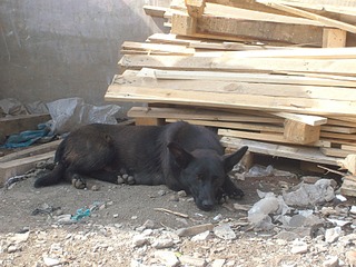 click for enlarge 1920 X 1440 678.9 Kb picture