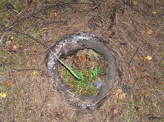 click for enlarge 1920 X 1436 764.4 Kb picture