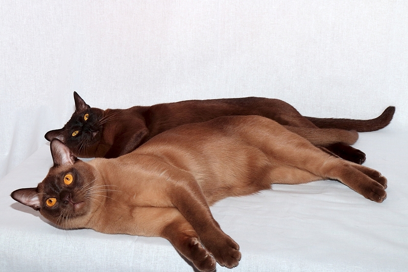 click for enlarge 1250 X 834 641.6 Kb picture
