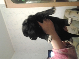 click for enlarge 1920 X 1440  99.3 Kb picture