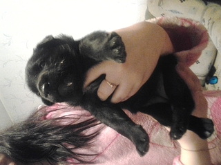 click for enlarge 1920 X 1440 133.2 Kb picture