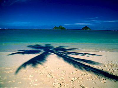 click for enlarge 660 X 495  62.4 Kb picture