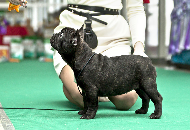 click for enlarge 1280 X 876 357.6 Kb picture