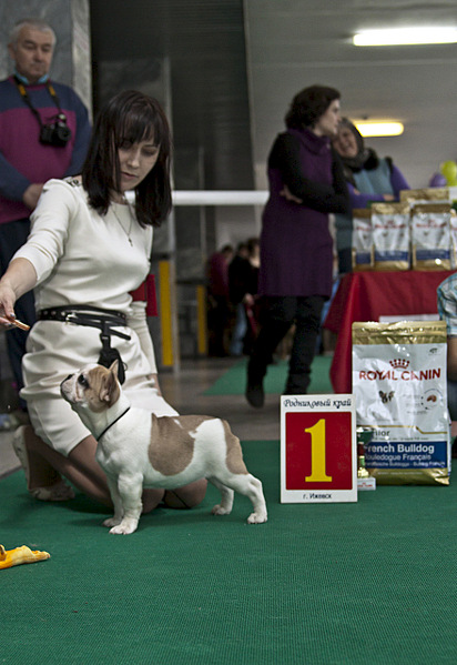 click for enlarge 880 X 1280 327.8 Kb picture