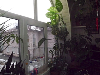 click for enlarge 1920 X 1440 203.4 Kb picture