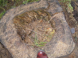 click for enlarge 1920 X 1436 681.7 Kb picture