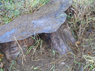 click for enlarge 1920 X 1436 402.6 Kb picture