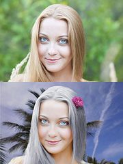 click for enlarge 600 X 800  72.6 Kb picture