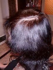click for enlarge 600 X 800 211.0 Kb picture