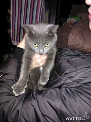 click for enlarge 360 X <BR>480 27.8 Kb picture