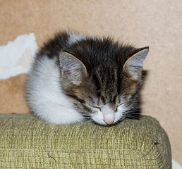 click for enlarge 996 X 925 372.2 Kb picture