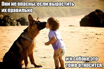 click for enlarge 500 X 331 46.8 Kb picture