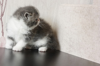 click for enlarge 1920 X 1280 391.9 Kb picture