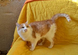 click for enlarge 1920 X 1357 267.0 Kb picture