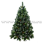 click for enlarge 415 X 415 69.2 Kb picture