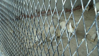 click for enlarge 1920 X 1082 548.1 Kb picture