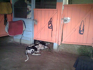 click for enlarge 1920 X 1440 575.7 Kb picture