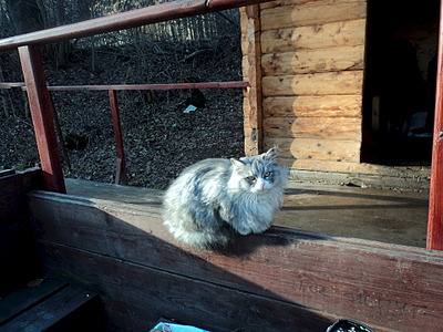 click for enlarge 1920 X 1440 755.1 Kb picture