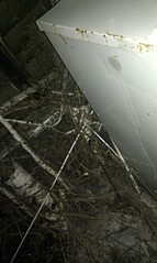 click for enlarge 1552 X 2592 901.5 Kb picture