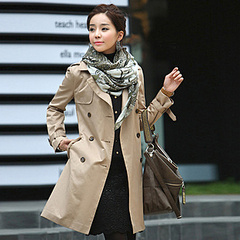 click for enlarge 310 X 310 40.6 Kb picture