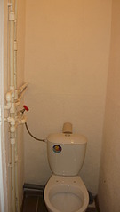 click for enlarge 1840 X 3264 222.2 Kb picture