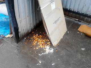 click for enlarge 1920 X 1440 601.9 Kb picture