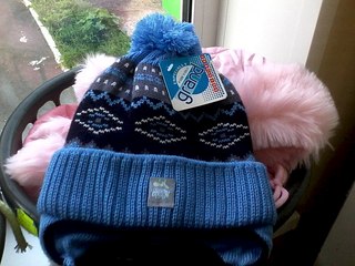 click for enlarge 604 X 453  60.3 Kb picture