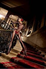 click for enlarge 512 X 768 61.1 Kb picture