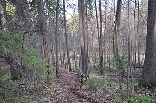 click for enlarge 1920 X 1275 497.0 Kb picture