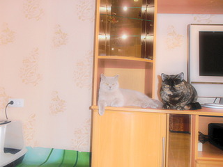click for enlarge 1920 X 1440 359.1 Kb picture