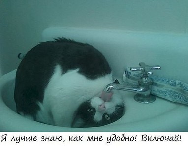 click for enlarge 600 X 471 38.9 Kb picture