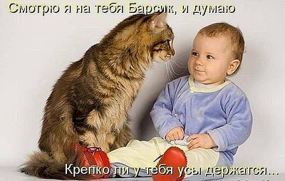 click for enlarge 600 X 381 39.7 Kb picture